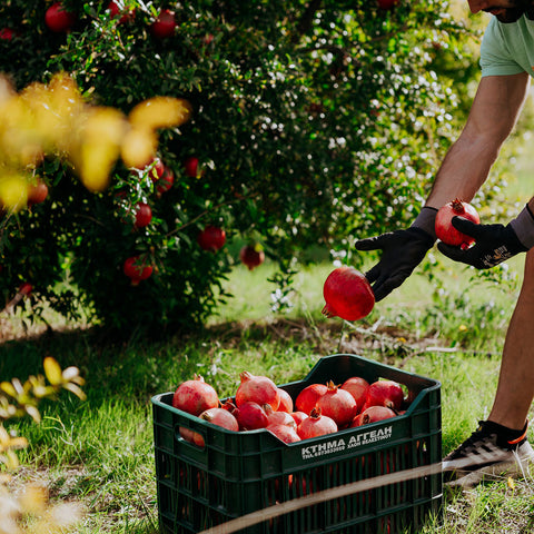 AGGELIS 100% Натурални сокове от нар 250мл.